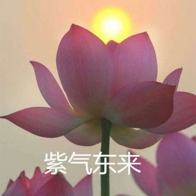 百式战姬腾讯版下载